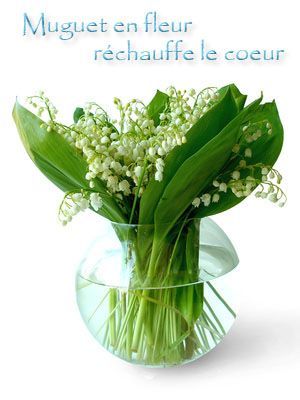 1ermai-06.jpg