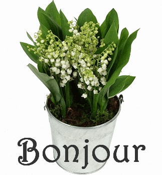 480224bonjour_muguet.png