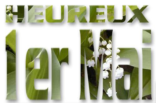 Ectac-Muguet-1er-mai05-03.gif