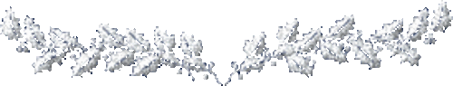 NNQbq_1KyA02VhX-oEvGmQpimwM@500x95.gif