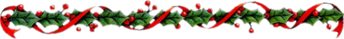UI3El7pSk1sc2tM6QstgHii3d_E@500x57.png