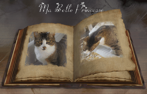 p6Bgzxgtn9ZI.gif